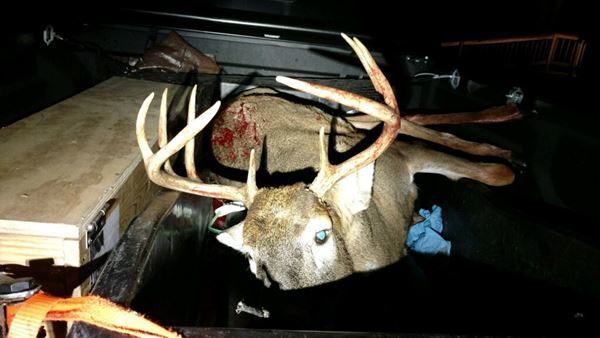 9 pointer